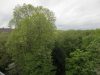 "Blick über die Bäume vom Kursaal in Stuttgart Bad Cannstatt" - Aussicht