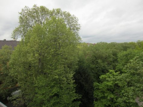 “Blick über die Bäume vom Kursaal in Stuttgart Bad Cannstatt”, 70372 Stuttgart, Wohnung
